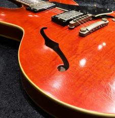 g7 Special g7-335 Dot Aged / Cherry_11