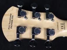 Pignose Limited Edition PGG-JAIL ROCK White_9