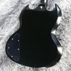 Edwards E-SG-90LT2_2