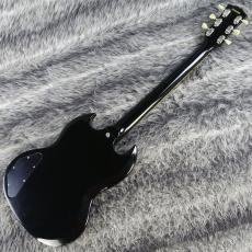 Edwards E-SG-90LT2_4