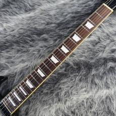 Edwards E-SG-90LT2_5