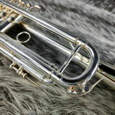 BURBANK 3 Star ML Silver_3