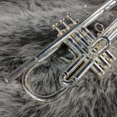 BURBANK 3 Star ML Silver_4