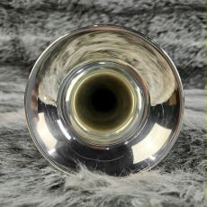 BURBANK 3 Star ML Silver_6