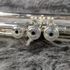 BURBANK 3 Star ML Silver_11