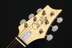 Paul Reed Smith [PRS] SILVER SKY Midnight Rose 2025 Rosewood_8