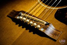 Gibson 1964 J-160E / 1996_6