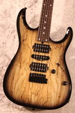 T's DST-Pro24  5A Spalted Maple / Ash 2P/ Beveled Cut  -Natural to Black Burst- #033281 【3.29kg】