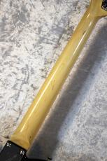 Fender 【ペイズリーテレキャスター】Made in Japan LTD Telecaster Black Paisley #JD25023308【3.35kg】_6