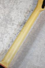 Fender 【新品特価】Monster Hunter Rathalos Telecaster No.443 #JD25003993【3.62kg】_6