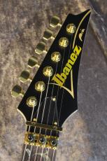Ibanez PIA3761 "Paradise in Art" Onyx Black【STEVE VAI Signature】【即納可能】【3.64kg】_4