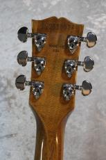 Gibson Les Paul Standard '60s Double Trouble -Vintage Honey Burst-【4.51kg/軽量】【良杢】【担当おすすめ!】_10