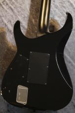 E-II HORIZON FR-II See Thru Black Sunburst【3.82kg】【良杢個体!】_7