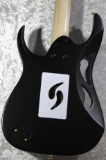 Ibanez PIA3761 "Paradise in Art" Onyx Black【STEVE VAI Signature】【店頭未展示品】【3.50kg】_6