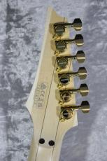 Ibanez PIA3761 "Paradise in Art" Onyx Black【STEVE VAI Signature】【店頭未展示品】【3.50kg】_8