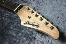 Providence pH-202RSC/SS-Black-# 241059【3.48kg】_5