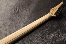 Ibanez Premium Series JEM77P-BFP Blue Floral Pattern #I240909500 【STEVE VAI Signature】【3.59kg】_10