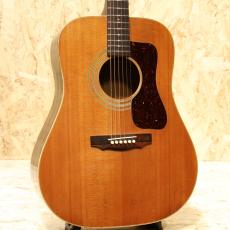 Guild D-40 NT 1976