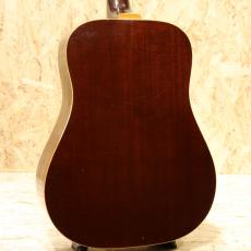 Guild D-40 NT 1976_2