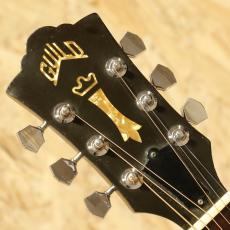 Guild D-40 NT 1976_8