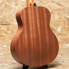Taylor GS Mini-e Special Edition Victorian Burst_2