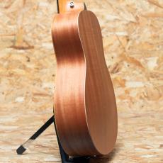 Taylor GS Mini-e Special Edition Victorian Burst_5