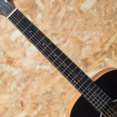 Taylor GS Mini-e Special Edition Victorian Burst_6