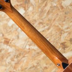 Taylor GS Mini-e Special Edition Victorian Burst_7