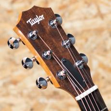 Taylor GS Mini-e Special Edition Victorian Burst_8