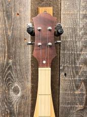 HORA  D1211 Dulcimar_3