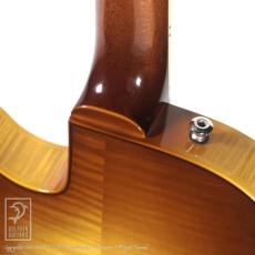Sadowsky Semi Hollow (CMB)_10