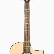 Taylor 814ce J-Spec (約43mmナット幅、スリムカーブ・ネック)_6