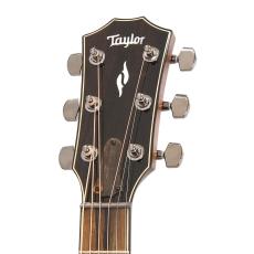 Taylor 814ce J-Spec (約43mmナット幅、スリムカーブ・ネック)_7