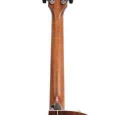 Taylor 814ce J-Spec (約43mmナット幅、スリムカーブ・ネック)_9