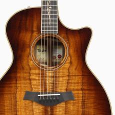 Taylor K24ce J-Spec_5