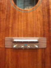 FGN Acoustic 【歳末大感謝セール!】FUS-TT 【アウトレット特価!】【テナー/ハワイアンコア】【24回金利0%対象】【送料込】_5