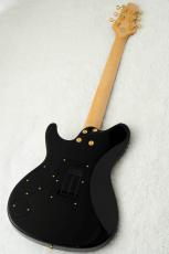 Sugi Standard Series DS496IR FM-EX/HM/F-MAHO -SBL-_9