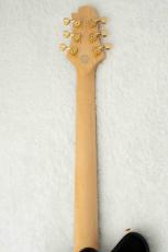 Sugi Standard Series DS496IR FM-EX/HM/F-MAHO -SBL-_11