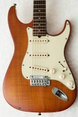 Sadowsky S-Style -Honey Burst-【USED】_3