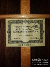Paulino Bernabe [パウリーノ・ベルナベ] Especial エスペシャル 杉 2024年最新作【日本総本店2F 在庫品】_4