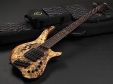 Dingwall Afterburner II XXX 5st_2