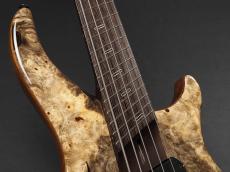 Dingwall Afterburner II XXX 5st_4