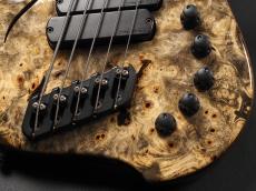 Dingwall Afterburner II XXX 5st_7