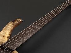 Dingwall Afterburner II XXX 5st_9