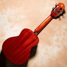 aNueNue aNN-AMM2 Africa Mahogany II Concert_5