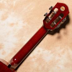 aNueNue aNN-AMM2 Africa Mahogany II Concert_7