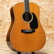 Martin HD-35 1979