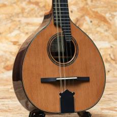 K.Yairi Bandolim 2014