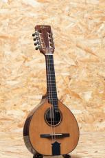 K.Yairi Bandolim 2014_3