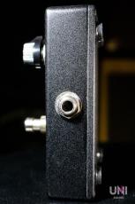 WALLACE AMPLIFICATION FUZZ ACE_5